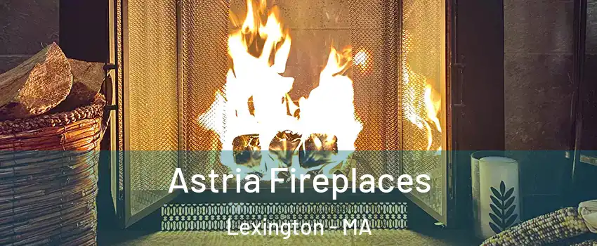  Astria Fireplaces Lexington - MA