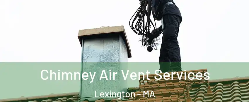  Chimney Air Vent Services Lexington - MA