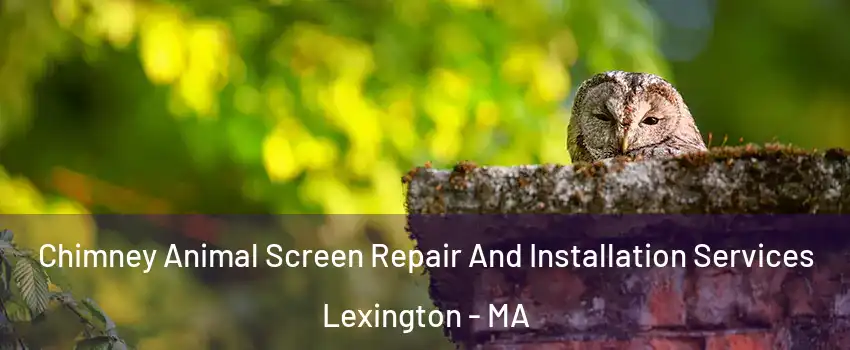  Chimney Animal Screen Repair And Installation Services Lexington - MA