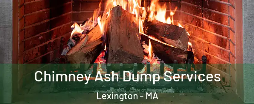  Chimney Ash Dump Services Lexington - MA