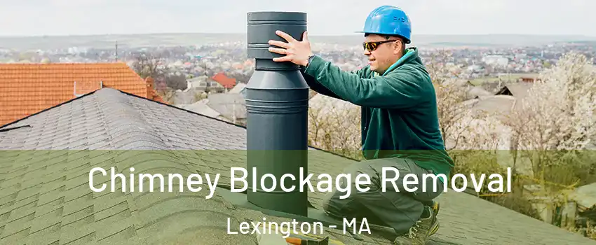  Chimney Blockage Removal Lexington - MA