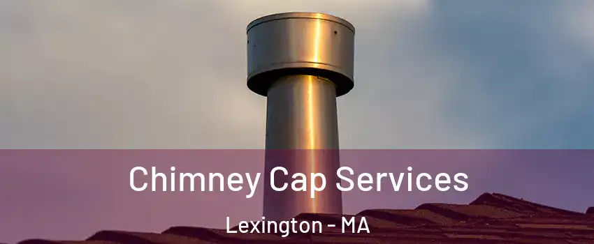  Chimney Cap Services Lexington - MA