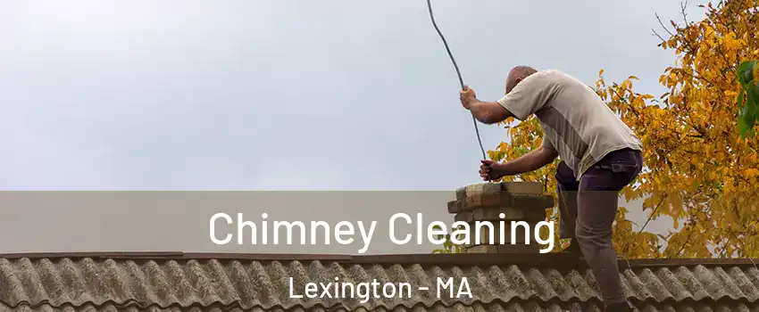  Chimney Cleaning Lexington - MA