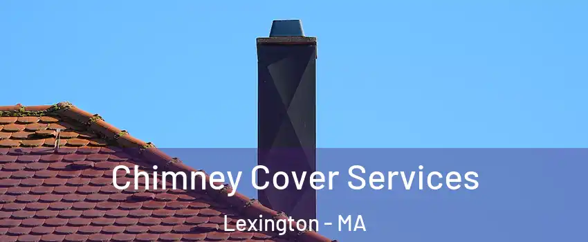  Chimney Cover Services Lexington - MA