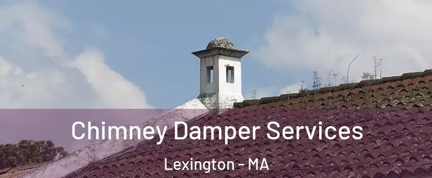  Chimney Damper Services Lexington - MA