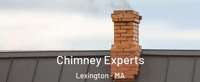 Chimney Experts Lexington - MA