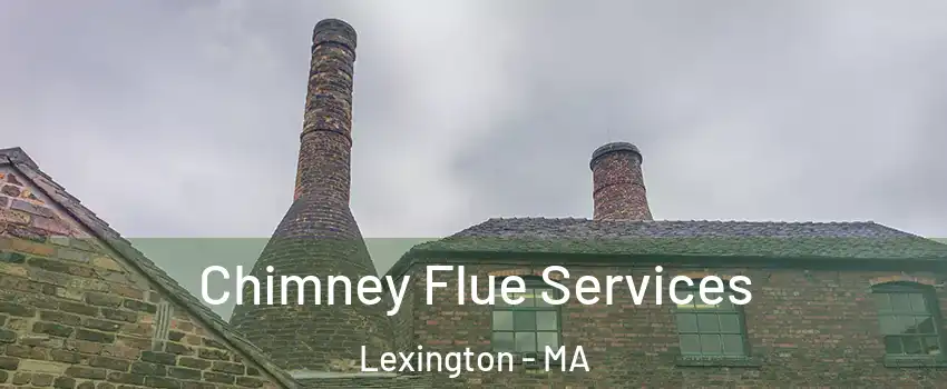  Chimney Flue Services Lexington - MA