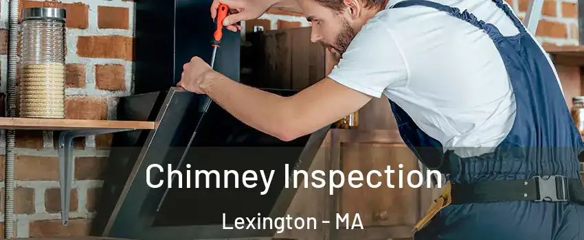  Chimney Inspection Lexington - MA