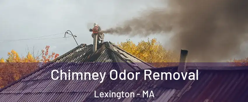  Chimney Odor Removal Lexington - MA
