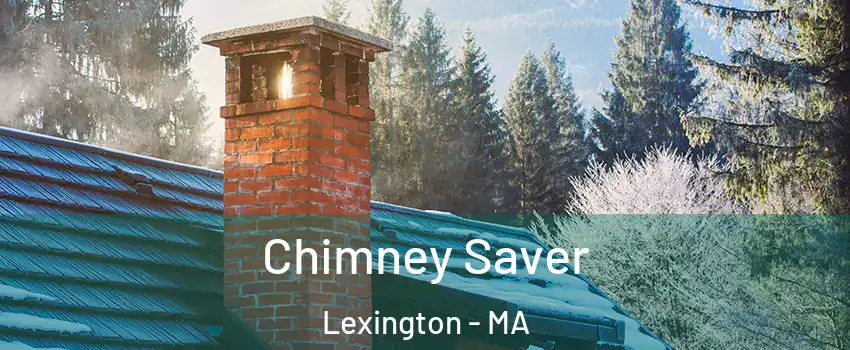  Chimney Saver Lexington - MA