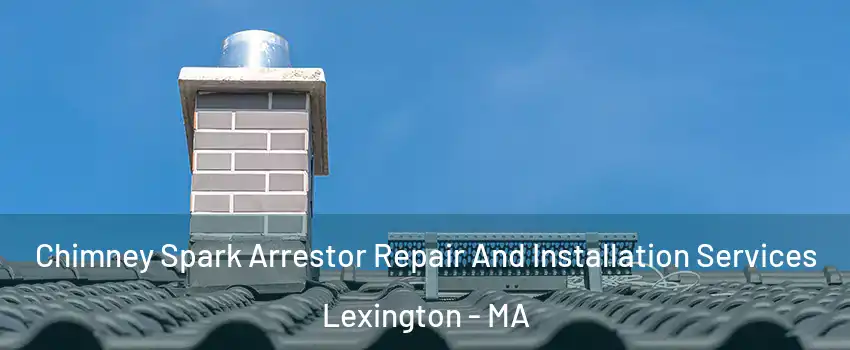  Chimney Spark Arrestor Repair And Installation Services Lexington - MA