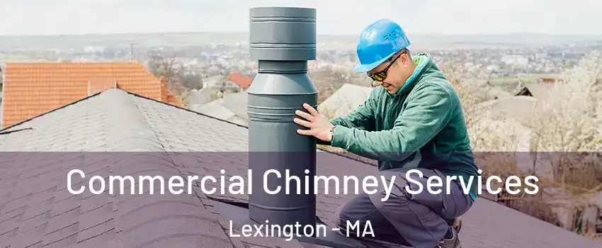  Commercial Chimney Services Lexington - MA