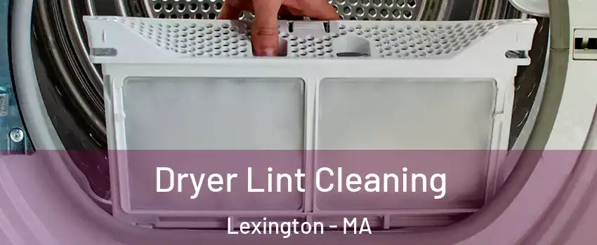  Dryer Lint Cleaning Lexington - MA