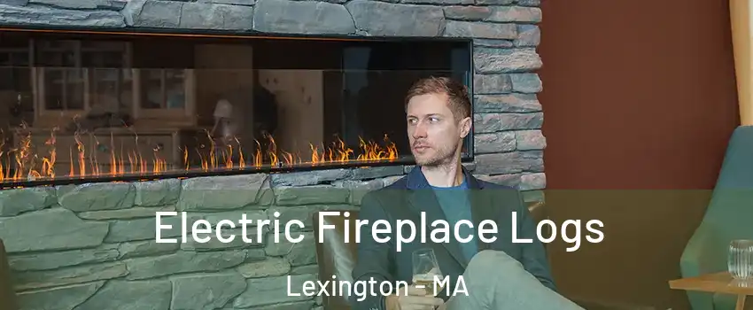  Electric Fireplace Logs Lexington - MA