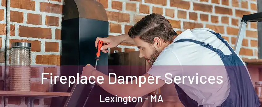  Fireplace Damper Services Lexington - MA