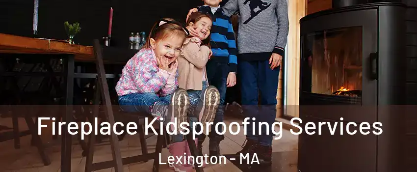  Fireplace Kidsproofing Services Lexington - MA