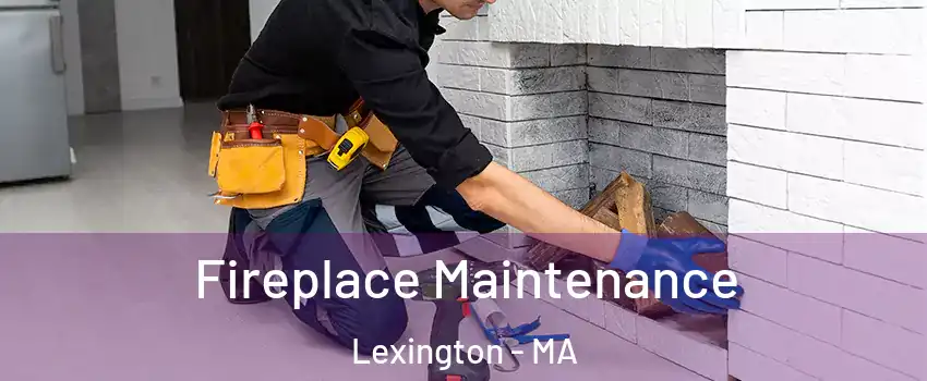  Fireplace Maintenance Lexington - MA