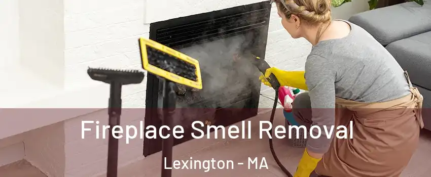  Fireplace Smell Removal Lexington - MA