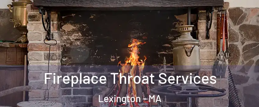  Fireplace Throat Services Lexington - MA