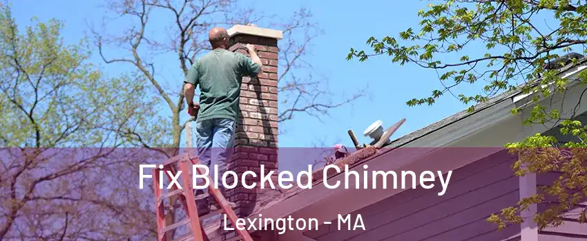  Fix Blocked Chimney Lexington - MA