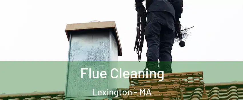  Flue Cleaning Lexington - MA
