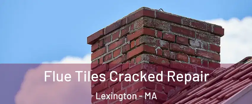  Flue Tiles Cracked Repair Lexington - MA