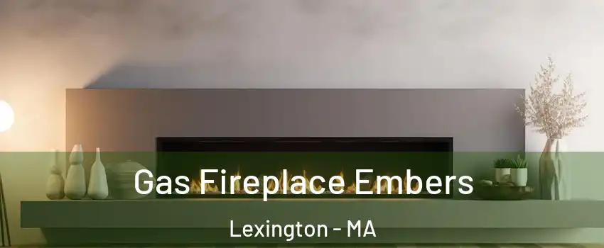 Gas Fireplace Embers Lexington - MA