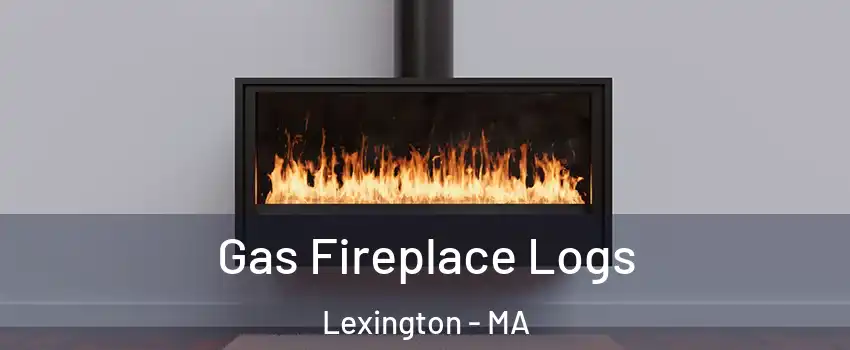 Gas Fireplace Logs Lexington - MA
