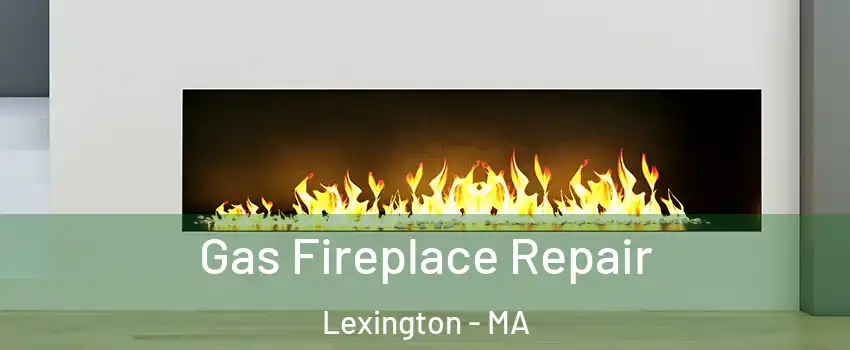  Gas Fireplace Repair Lexington - MA
