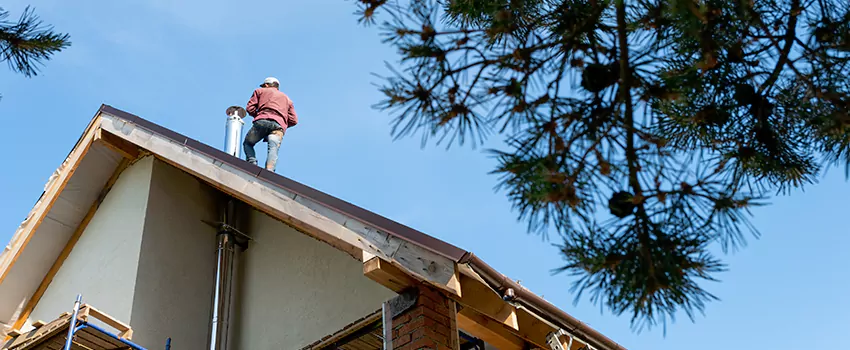 Birds Removal Contractors from Chimney in Lexington, MA