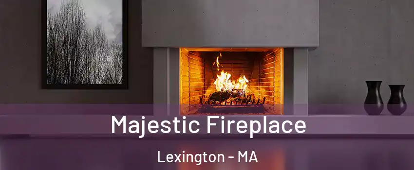  Majestic Fireplace Lexington - MA