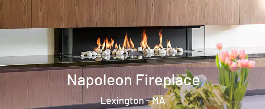  Napoleon Fireplace Lexington - MA