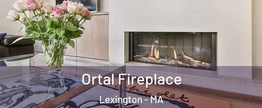 Ortal Fireplace Lexington - MA